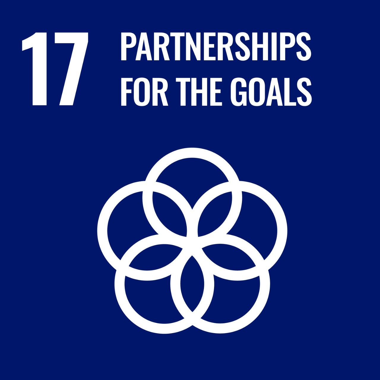 SDG 17 – Partnership for the goals