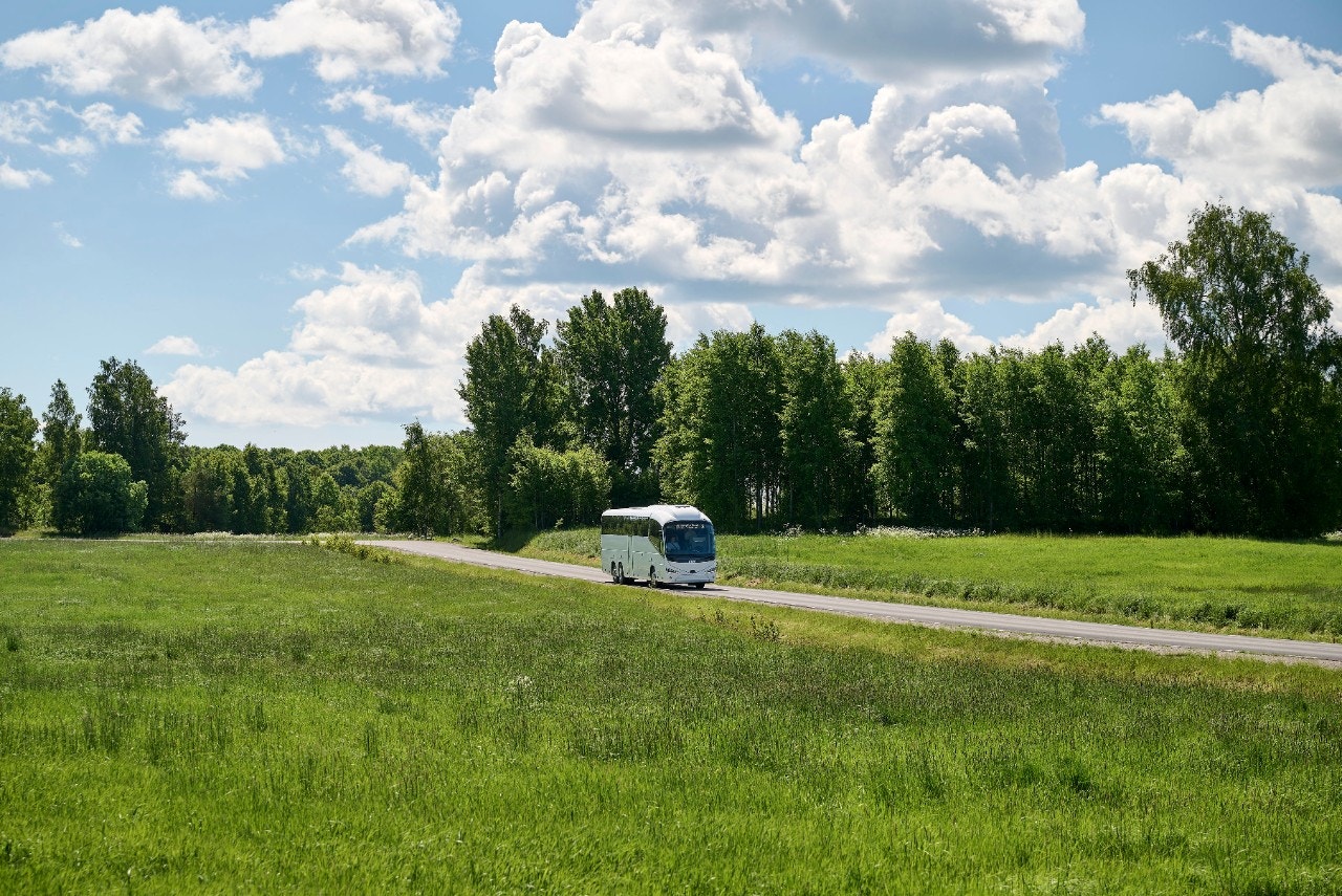 Bus driving in forrest