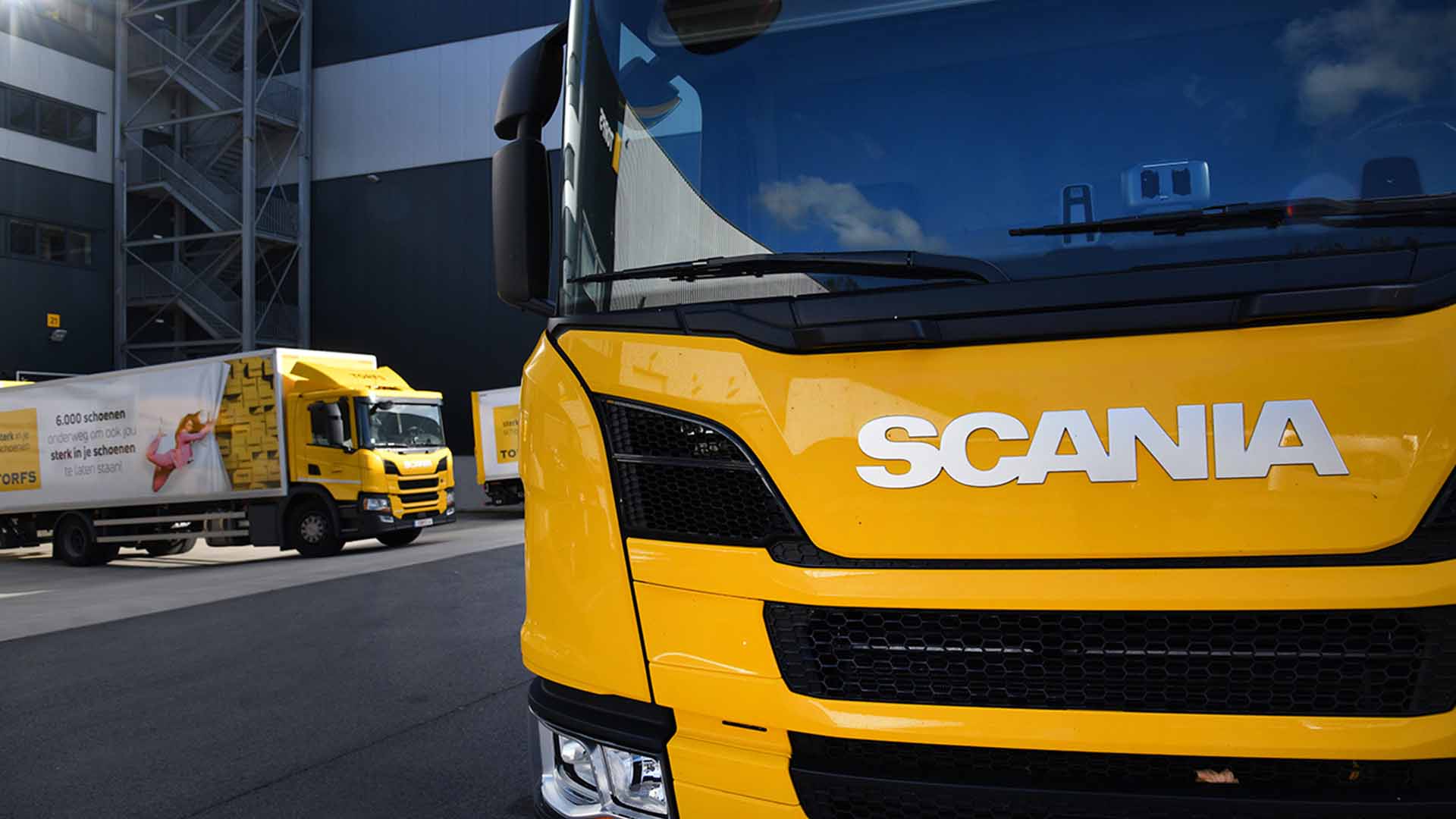 Schoenen Torfs Scania