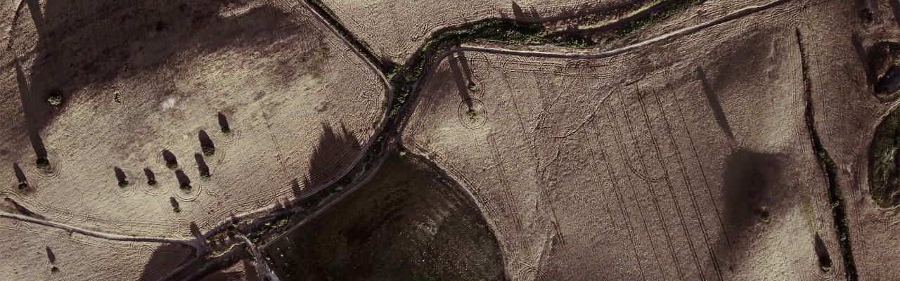 Agriculture transport